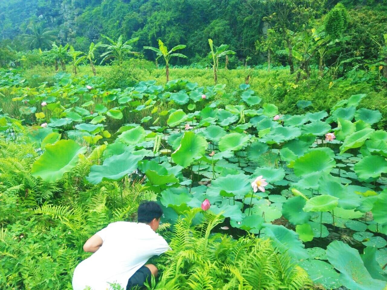 Sunny Trang An Homestay Ninh Binh Exteriér fotografie